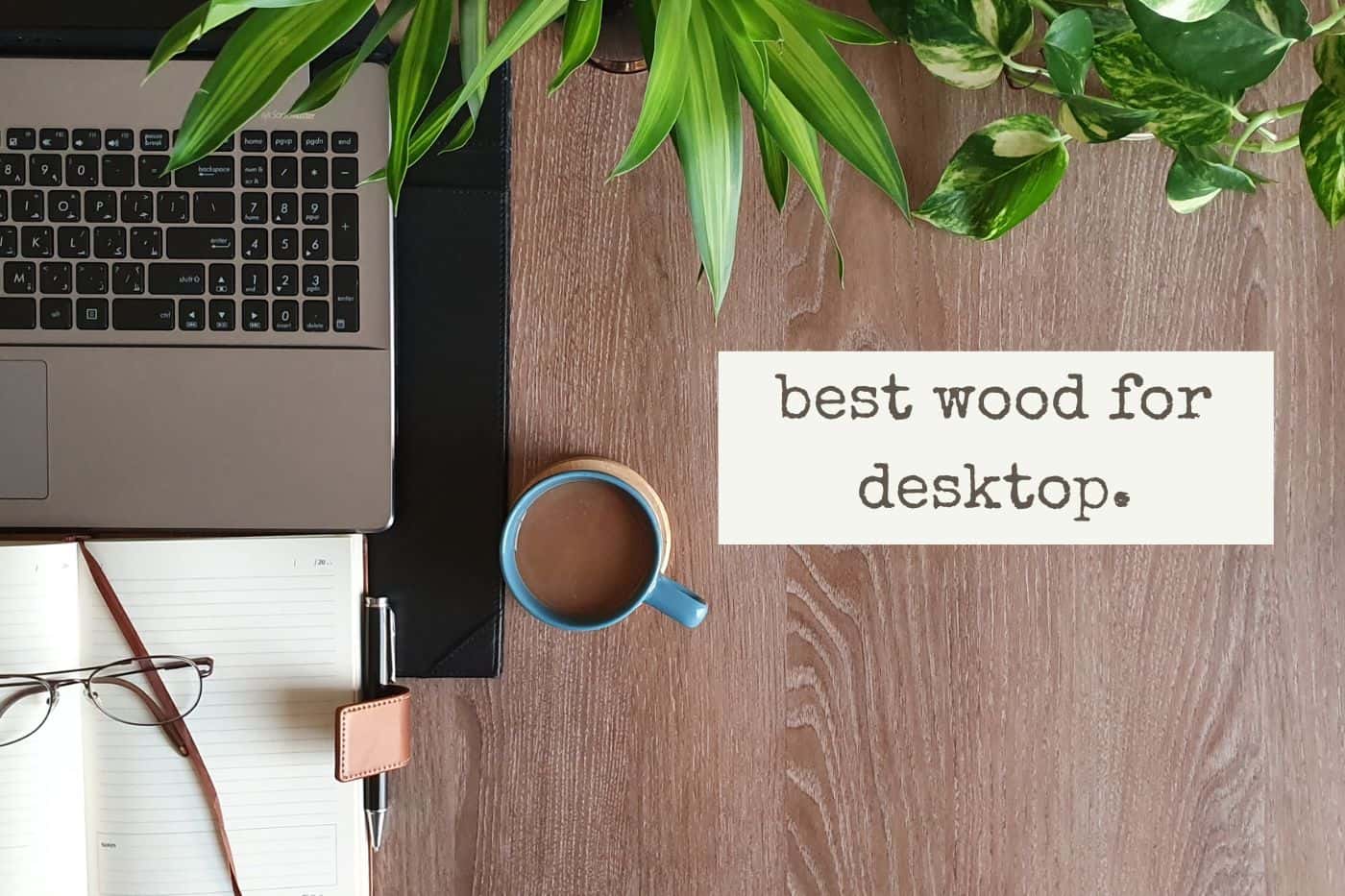 Best Wood for Desktop Top 17 Types to Use in 2024