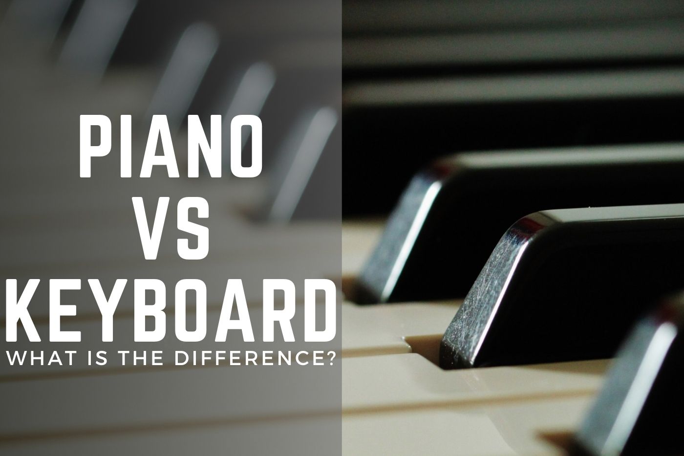 Piano vs Keyboard What Is The Difference? (2023)